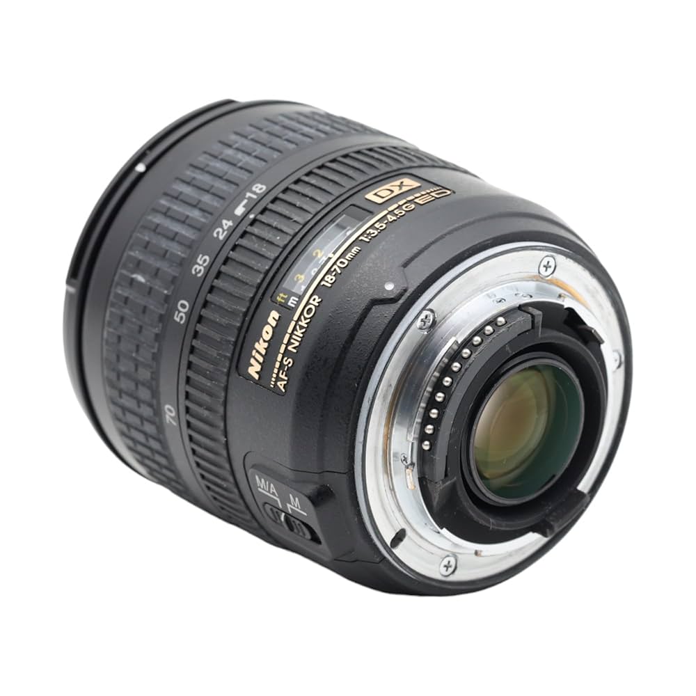 71gd3+OiG5L._UF1000,1000_QL80_.jpg
